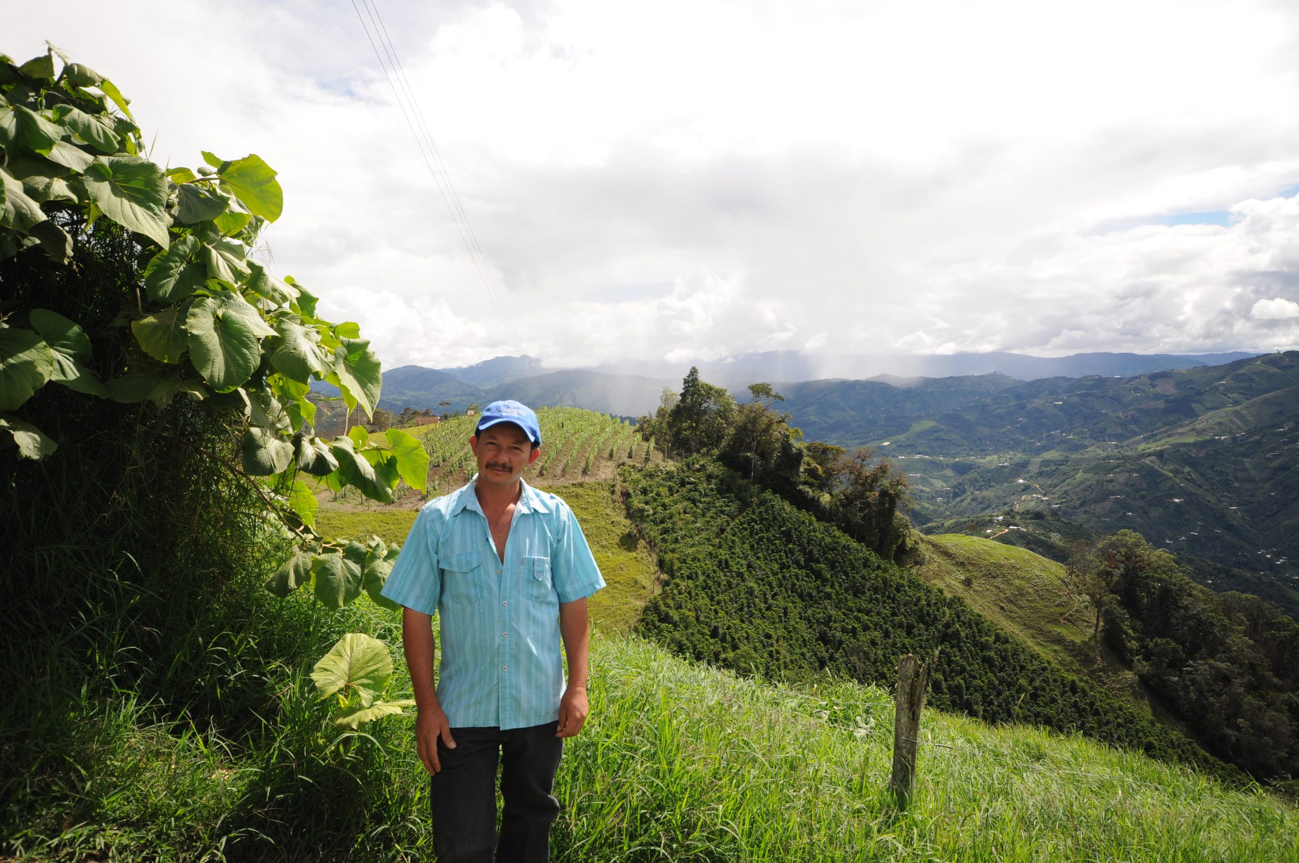 Tasting Series: La Piragua