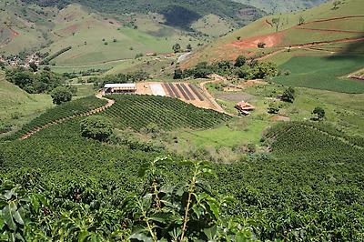 Fazenda