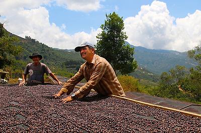 Finca La Loma