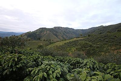 Huila%203