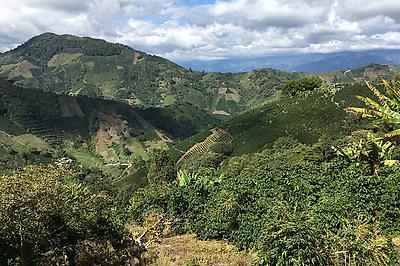 Acevedo