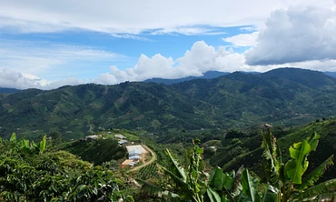 La Esperanza  - single origin coffee