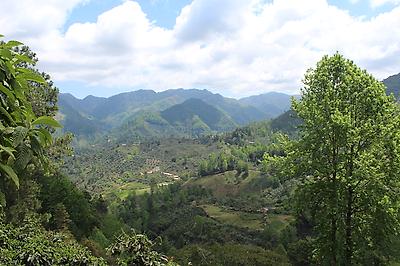 Finca la Bolsa