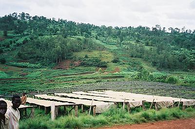 Burundi3