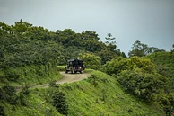 Natural Guamo image 4