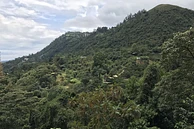 El Rosal Nariño