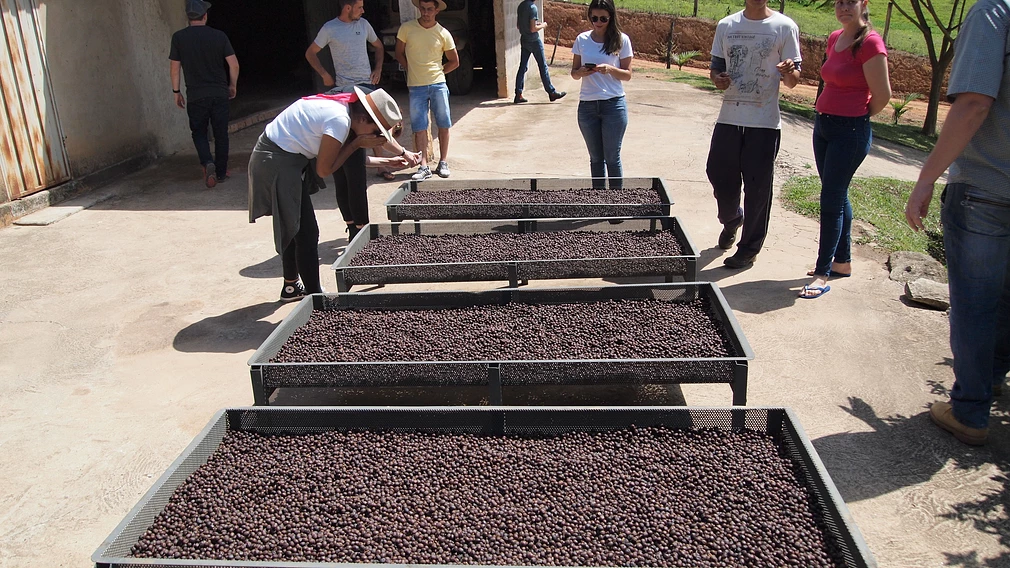 Sitio Vargem Anaerobic #7 