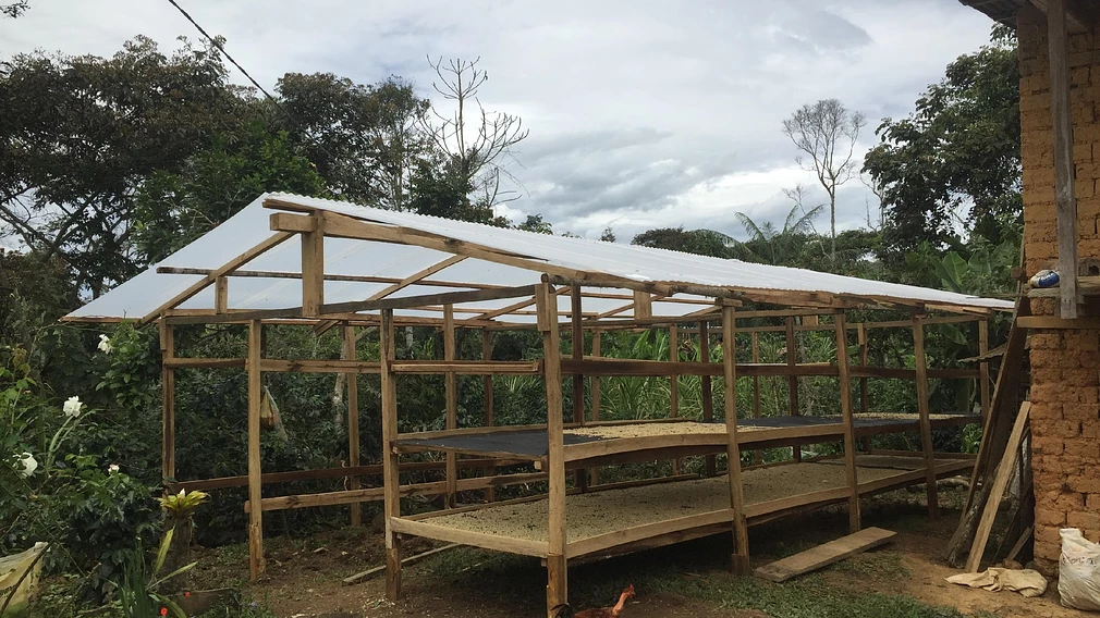 Tasting Series: Picorana