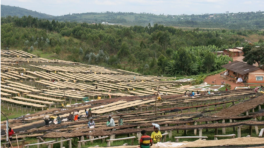 Tasting Series: Nkaka