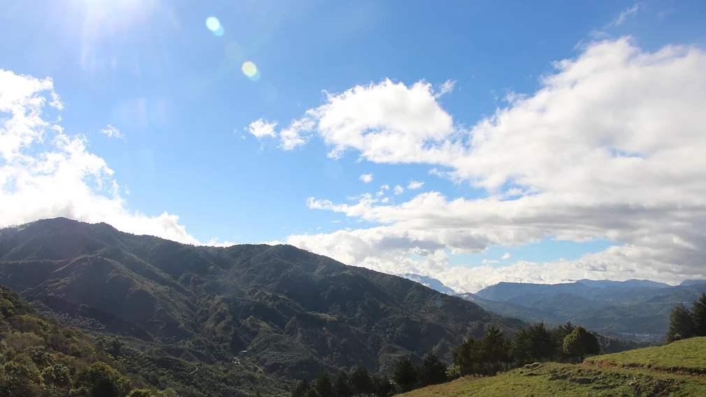 Tasting Series: Santa Teresa Geisha