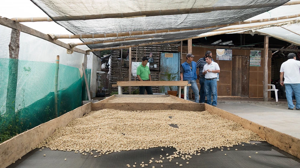 Classic: Villa Maria 