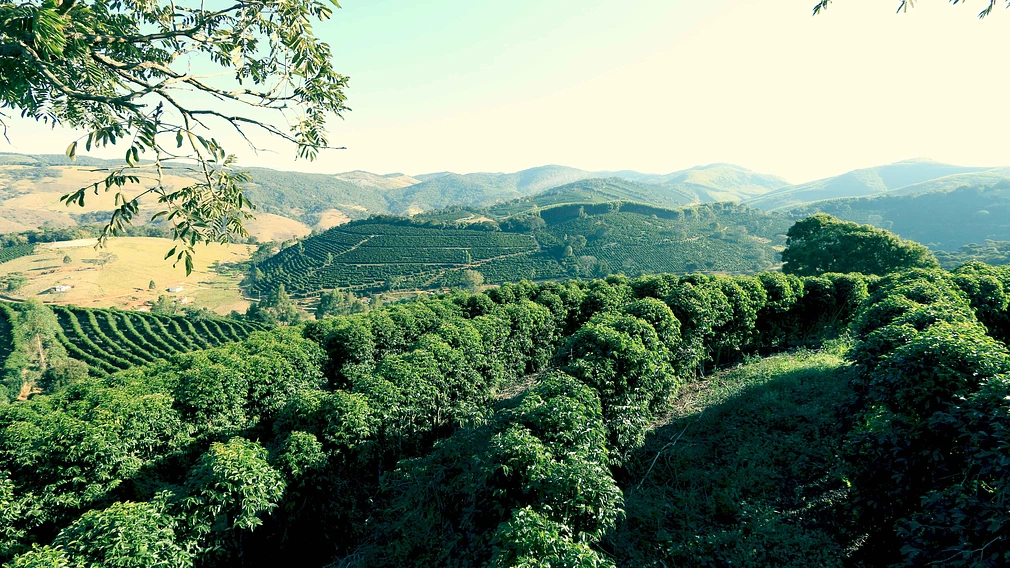 Brazil Carmo de Minas