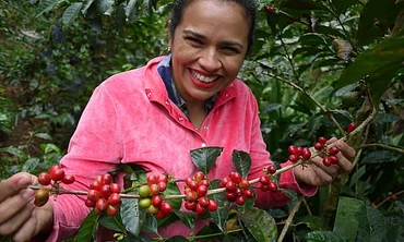 Bomba De Fruta #3