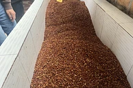 TS: El Diviso - Lot #1 image 2