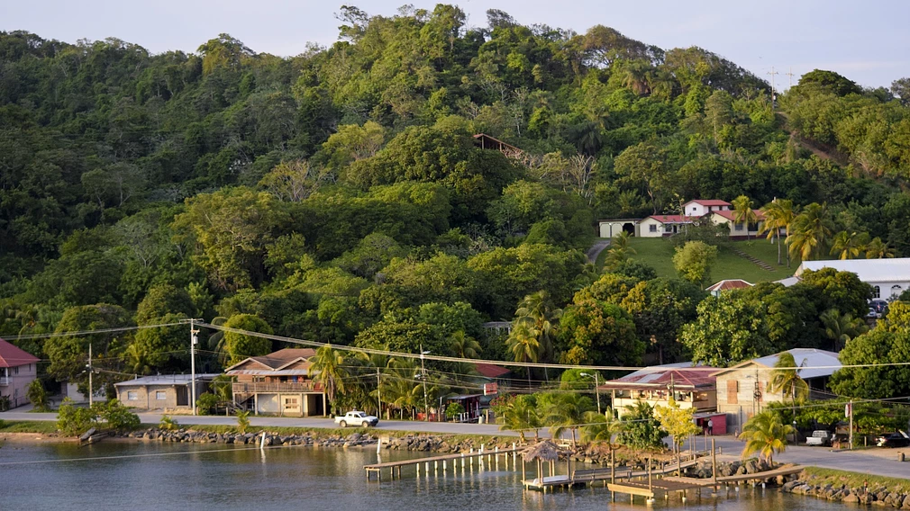 Classic: El Jilguero