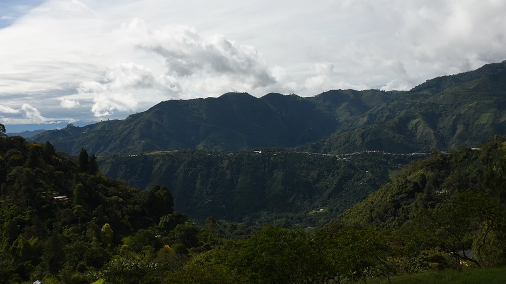 Tolima Hermosas Decaf