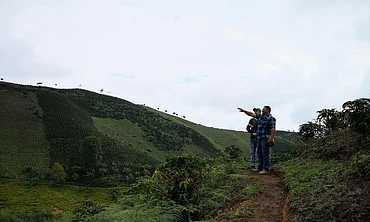La Virgensota