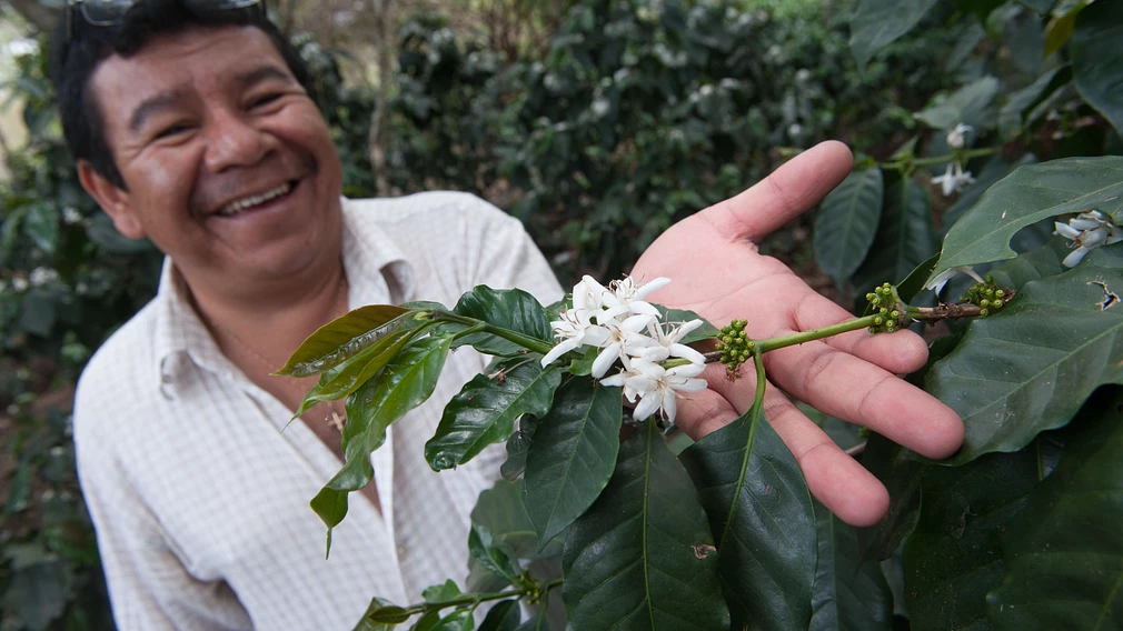 Classic:San Marcos de Colón