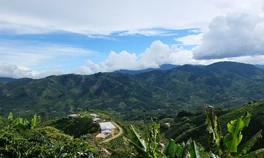 La Esperanza 