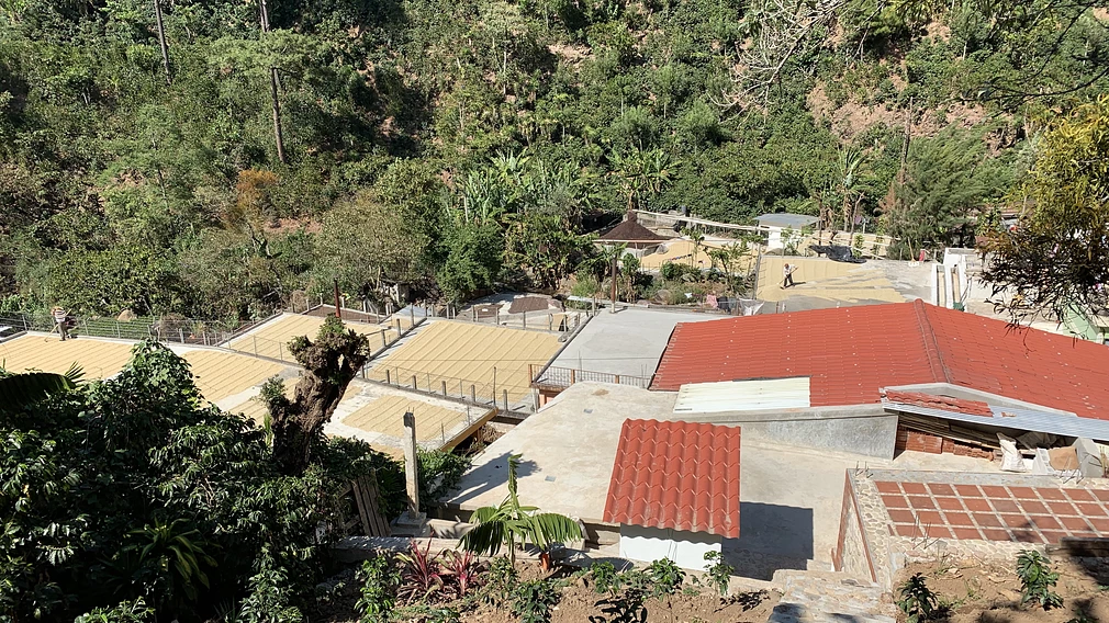 Tasting Series: Villaure One of a Kind