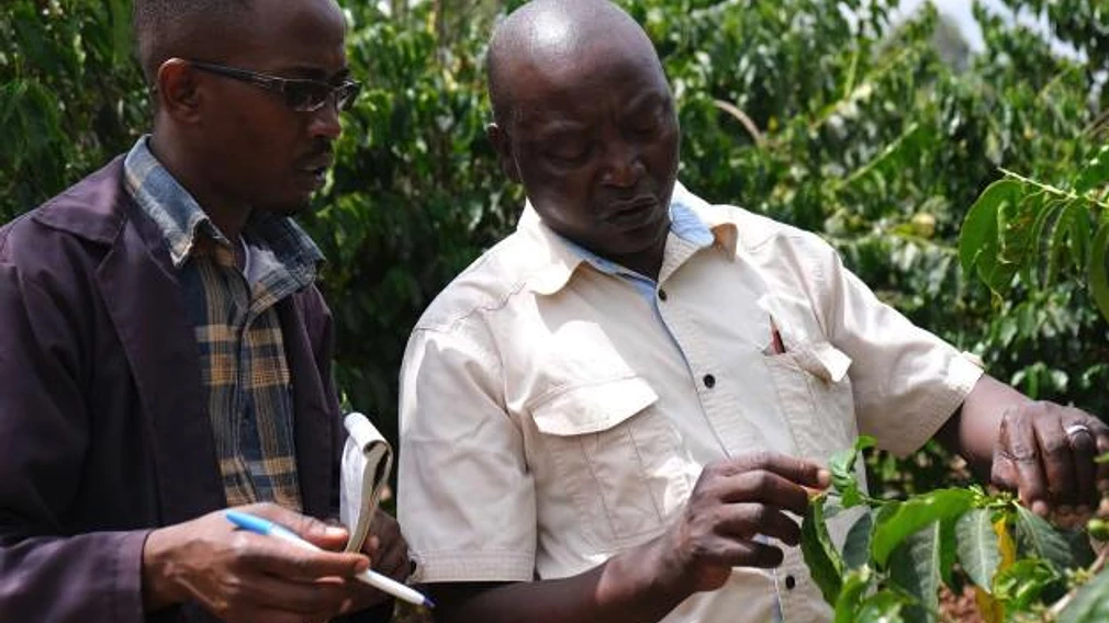 Tasting Series Kigari