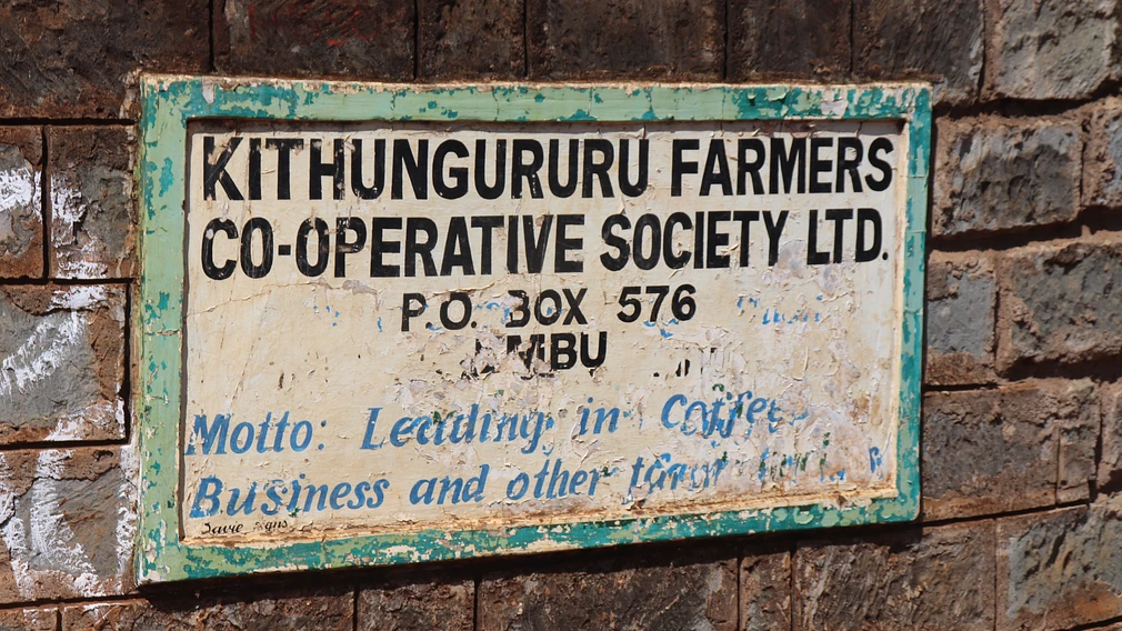 Tasting Series Kithingururu