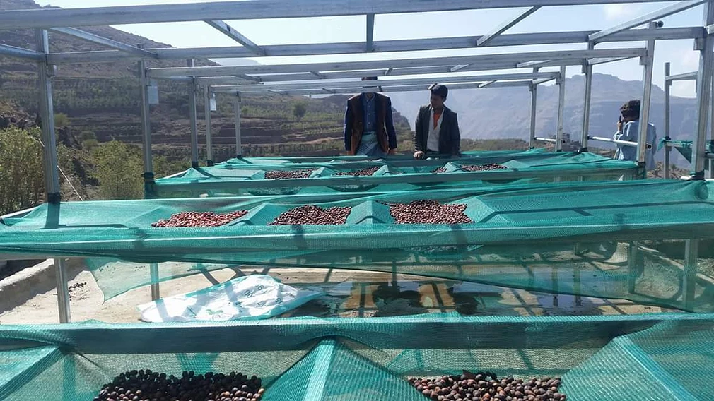 Tasting Series: Bura'a Rooftop