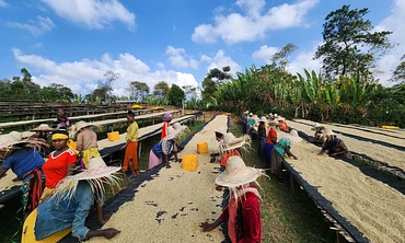 Banko Taratu