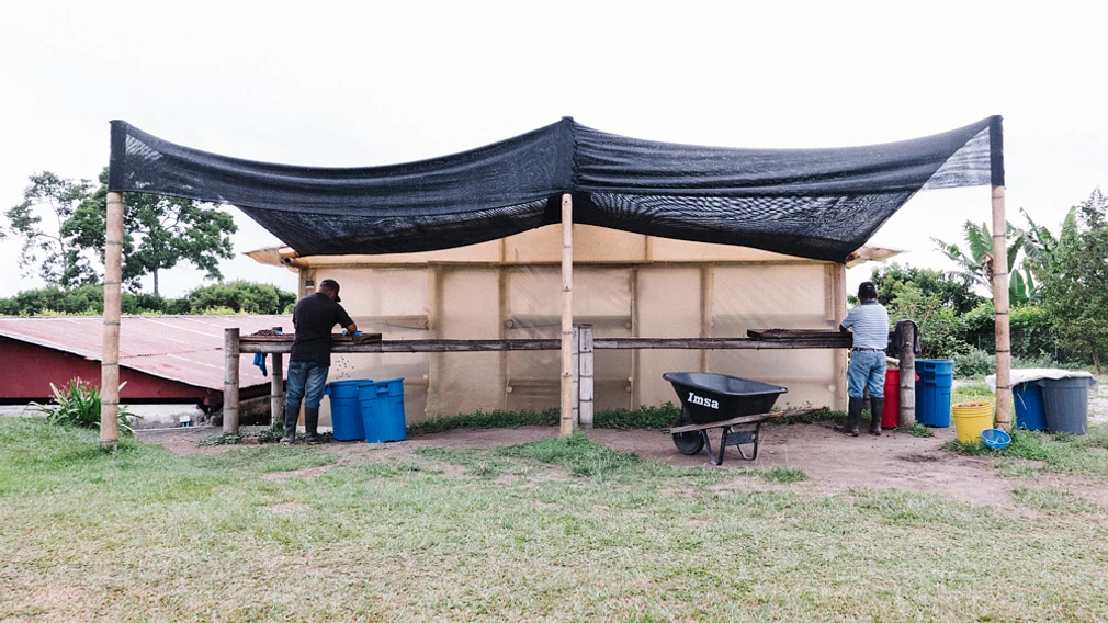 Tasting Series: Villa Betulia