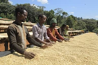 Banko Taratu image 7