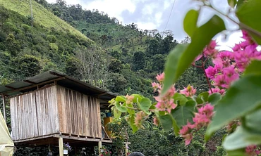 ​Las Garzas Natural​